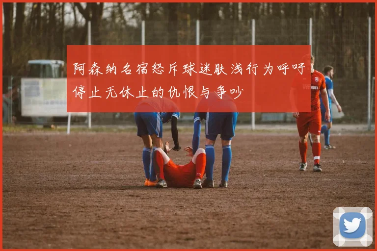 阿森纳名宿怒斥球迷肤浅行为呼吁停止无休止的仇恨与争吵